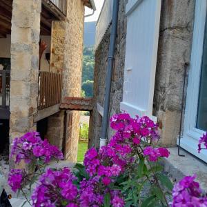 Appartements Gite NOCTUA chez Gites QUE CANTA : photos des chambres