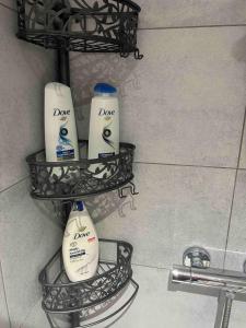 Coastal Charm and Tranquility in our Studio Guest House