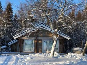 Eco-Villa Saturnus - Simoniemi