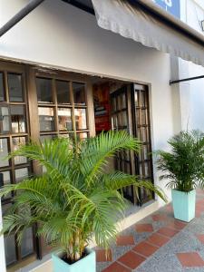 NaPoles valledupar Hotel