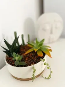 Inga Oasis - 肯皮亚图尔济