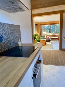 Apartment Chamonix Brise du Mont
