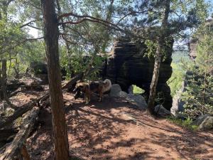 Fox House Tisá Rájec