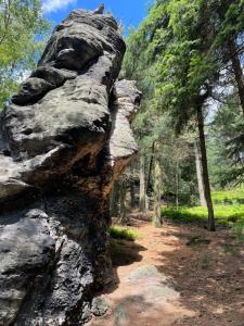 Fox House Tisá Rájec