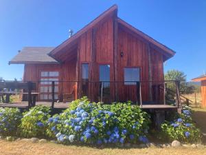 Kumewe Lodge & Cabañas