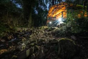 Matumi Trail Forest Lodges - Matumi and Mitzeeri - Mmafefe