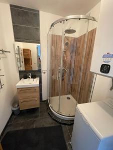 Appartements Confortable appartement renove centre Villard de Lans : Appartement 2 Chambres