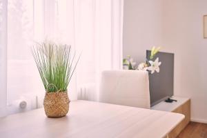 Perfect Location, comfortable & modern