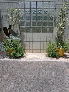 Apartamento Praia do Forte