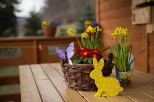 DOMKI Kolonia Leśna z sauną - نوف مستو ناد متوجي