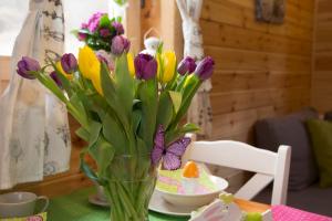 Domki KOLONIA LEŚNA z sauną i gorącą balią