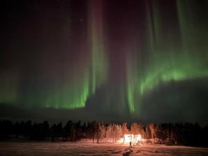 Porotila Toini Sanila