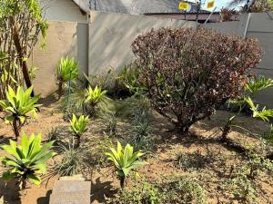 Home 11 Strydom
