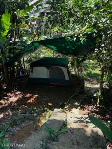 Sitio Simple Life