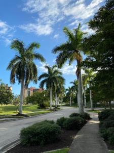 Beautiful Marina View