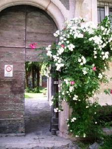Wohnung Caprifoglio In Miasino