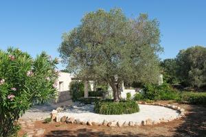 Ferienhaus Mit Privatpool An Der Adriaküste