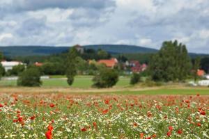 Ferienhaus In Kleiner Ferienanlage Mit Vielen Freizeitmöglichkeiten