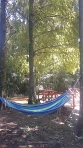 Delta Punta Alta, isla en primera sección