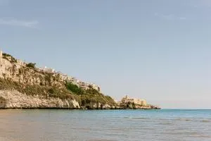 Hotel Degli Aranci - فييستي