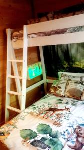 Lodges Cabanes Milvus du Puy Mary : photos des chambres