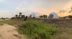 Cterra Saadani Luxury Tents