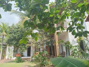 Casa Aderno - Trancoso BA