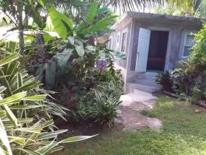 Port Antonio Brian's Beach House - Buff Bay