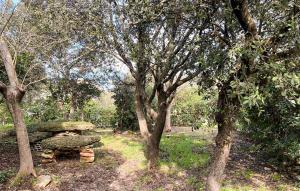 Maisons de vacances Pet Friendly Home In Vers-Pont-Du-Gard : photos des chambres