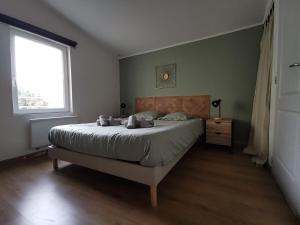 Appartements Le Saint Marc : photos des chambres