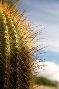 Casa en el corazón de Huacalera, Jujuy - Huacalera