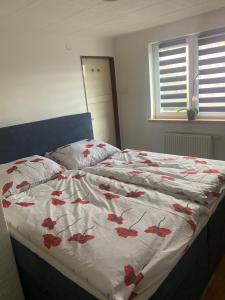 Apartmán v rodinném domě