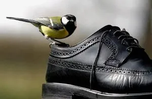 Grand studio 40 m2 , CONFORT ,lumineux, calme, agréable , 2 personnes - Maule