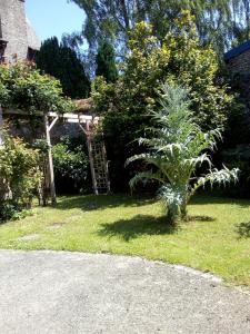 Maisons de vacances Apartment Esprit Loft in Dinan : photos des chambres