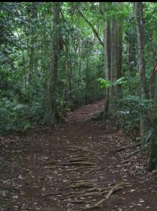 Apto Casinha de Boneca no Verde