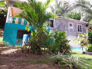 Port Antonio Brians Beach House