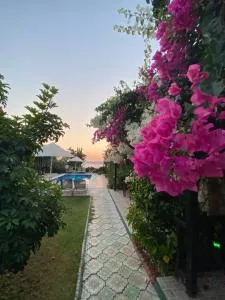 Suna House - Taşlıca