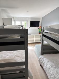 Maisons de vacances L'Opale - Le Bercail : photos des chambres