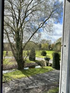 Maisons de vacances L'Opale - Le Bercail : Cottage - Vue sur Jardin