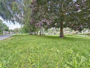 Maisons de vacances Relaxooz : photos des chambres