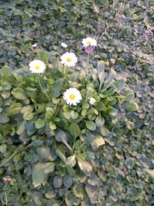 Casa vacanze il sorriso di Eva