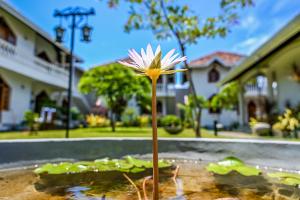 Paradise Holiday Village