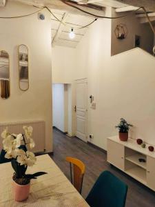 Appartements Appartement Atypique : photos des chambres