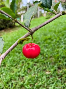 Sitio em condominio a 40km de de Belo Horizonte