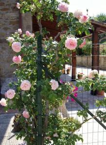 AGRITURISMO COLLEMAGGIO DI MOSCATELLI MARIASSUNTa