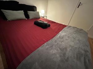 Appartements La Preize station - Theatre de Champagne - Wifi : photos des chambres