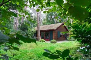 Bed en Boshuisjes - بوكستيل