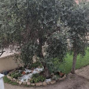 Appartamento Valle img19