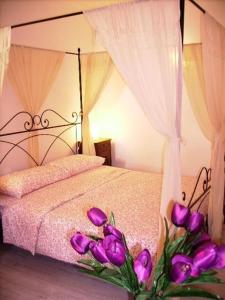 Wohnung Glicine In Miasino