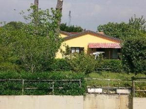 Wohnung In Cecina Mit Großem Garten